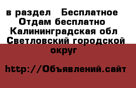  в раздел : Бесплатное » Отдам бесплатно . Калининградская обл.,Светловский городской округ 